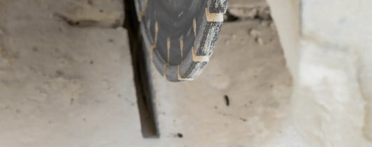 MICROTRINCEA DIAMANTATA